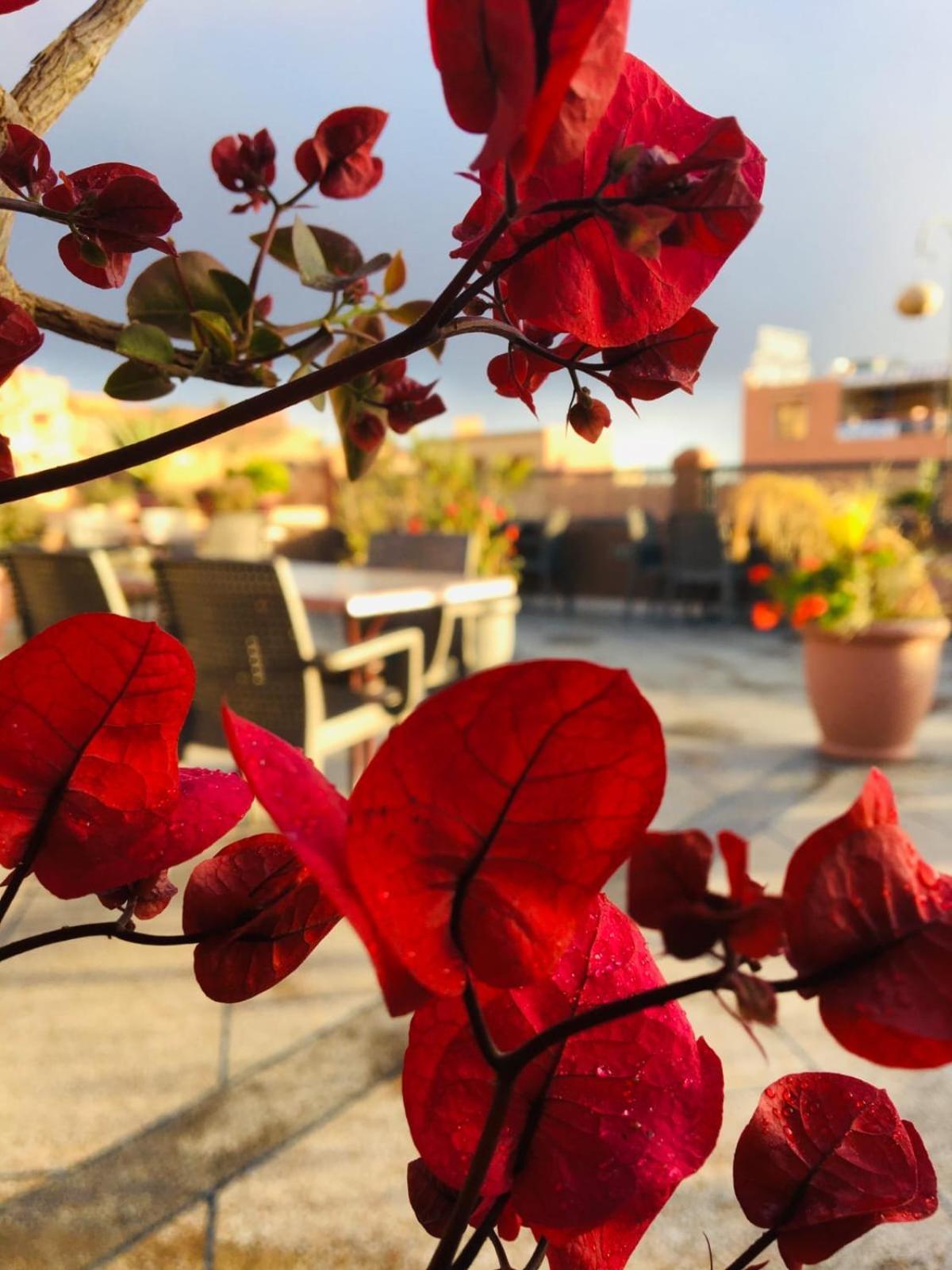 Hotel Riad Atlas Dades Boumalne Exterior foto